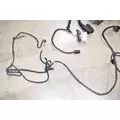 FREIGHTLINER Cascadia Chassis Wiring Harness thumbnail 7