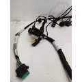 FREIGHTLINER Cascadia Chassis Wiring Harness thumbnail 4