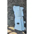 FREIGHTLINER Cascadia Cowl thumbnail 4