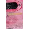 FREIGHTLINER Cascadia Cowl thumbnail 6