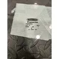 FREIGHTLINER Cascadia Door Glass, Front thumbnail 2