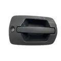 FREIGHTLINER Cascadia Door Handle thumbnail 5