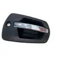 FREIGHTLINER Cascadia Door Handle thumbnail 5