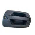 FREIGHTLINER Cascadia Door Handle thumbnail 6