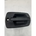 FREIGHTLINER Cascadia Door Handle thumbnail 1