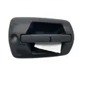 FREIGHTLINER Cascadia Door Handle thumbnail 5