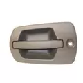 FREIGHTLINER Cascadia Door Handle thumbnail 1