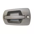 FREIGHTLINER Cascadia Door Handle thumbnail 1