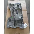 FREIGHTLINER Cascadia Door Panel (Trim) thumbnail 1