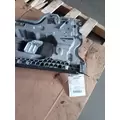 FREIGHTLINER Cascadia Door Panel (Trim) thumbnail 5