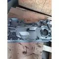 FREIGHTLINER Cascadia Door Panel (Trim) thumbnail 9
