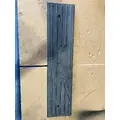FREIGHTLINER Cascadia Door Panel (Trim) thumbnail 1