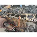 FREIGHTLINER Cascadia Engine Assembly thumbnail 12
