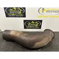 FREIGHTLINER Cascadia Exhaust Pipe thumbnail 2