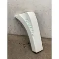 FREIGHTLINER Cascadia Fender Extension thumbnail 2