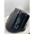 FREIGHTLINER Cascadia Fender Extension thumbnail 3