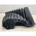 FREIGHTLINER Cascadia Fender Extension thumbnail 5