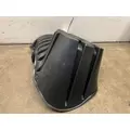 FREIGHTLINER Cascadia Fender Extension thumbnail 2