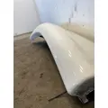 FREIGHTLINER Cascadia Fender Extension thumbnail 3