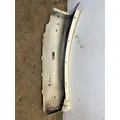 FREIGHTLINER Cascadia Fender Extension thumbnail 4
