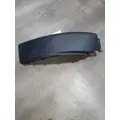 FREIGHTLINER Cascadia Fender thumbnail 1