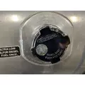 FREIGHTLINER Cascadia Fuel Tank thumbnail 2