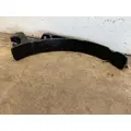 FREIGHTLINER Cascadia Fuel Tank thumbnail 5