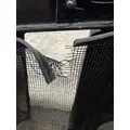 FREIGHTLINER Cascadia Grille thumbnail 3