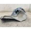FREIGHTLINER Cascadia Hood Hinge thumbnail 1