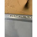 FREIGHTLINER Cascadia INTERIOR PANELS & TRIM 126 thumbnail 4