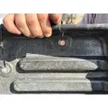 FREIGHTLINER Cascadia Inner Fender thumbnail 4