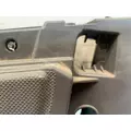 FREIGHTLINER Cascadia Interior Door Panel thumbnail 8