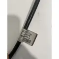 FREIGHTLINER Cascadia Mirror (Side View) thumbnail 2
