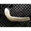 FREIGHTLINER Cascadia Radiator Core Support thumbnail 2