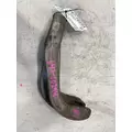 FREIGHTLINER Cascadia Radiator Core Support thumbnail 4