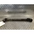 FREIGHTLINER Cascadia Steering Gear  Rack thumbnail 2