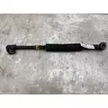 FREIGHTLINER Cascadia Steering Gear  Rack thumbnail 1