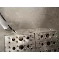 FREIGHTLINER Cascadia Step thumbnail 2