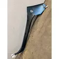 FREIGHTLINER Century Class Cab Exterior Trim Panel thumbnail 5