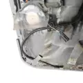 FREIGHTLINER Columbia Door Panel (Trim) thumbnail 11