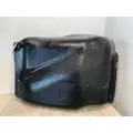 FREIGHTLINER Coronado Fender Extension thumbnail 1
