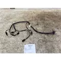 FREIGHTLINER FH658002 Wiring Harness thumbnail 1