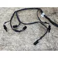 FREIGHTLINER FH658002 Wiring Harness thumbnail 2