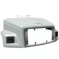 FREIGHTLINER FL112 Hood thumbnail 1