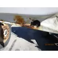FREIGHTLINER FL70 1991-2005 DOOR ASSEMBLY, FRONT thumbnail 4