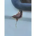 FREIGHTLINER FLC112 DOOR ASSEMBLY, FRONT thumbnail 2