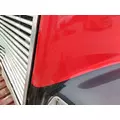 FREIGHTLINER FLD112 1989-2003 HOOD thumbnail 16