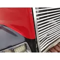 FREIGHTLINER FLD112 1989-2003 HOOD thumbnail 17