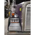 FREIGHTLINER FLD120 CLASSIC 1989-2010 HOOD thumbnail 2