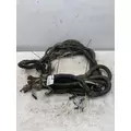 FREIGHTLINER FLD120SD Chassis Wiring Harness thumbnail 1